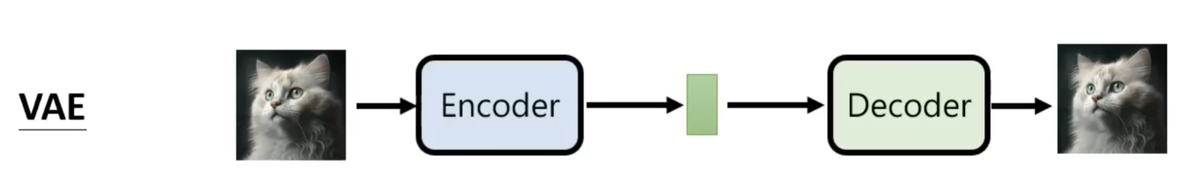 VAE